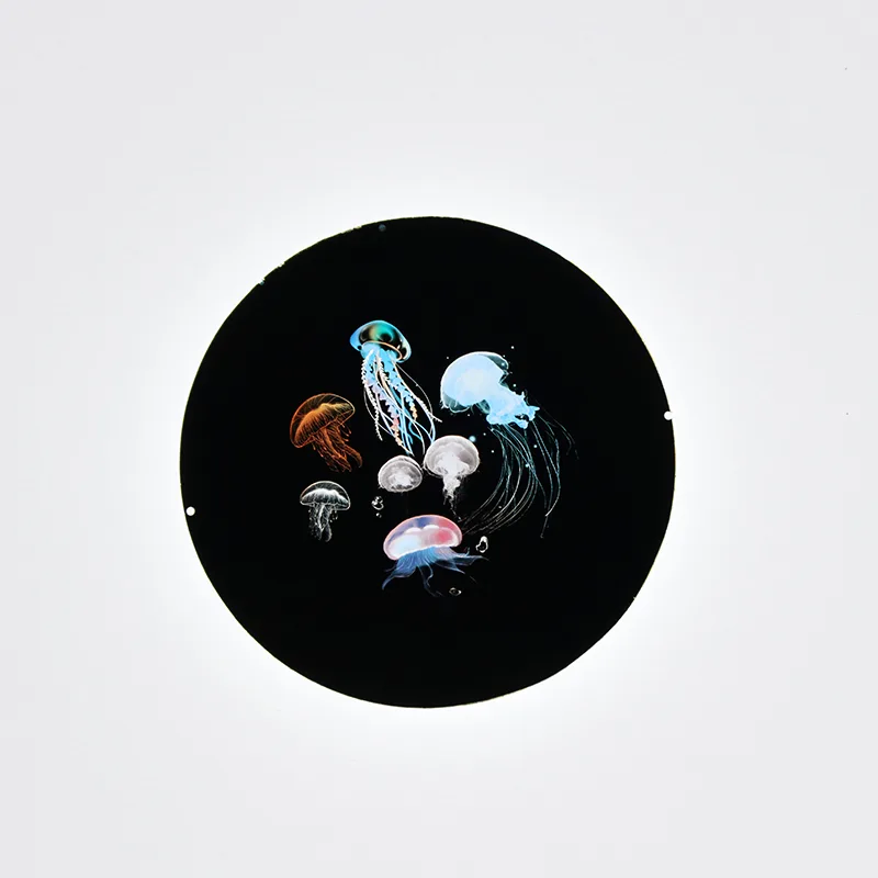 Single-color / Dual-color / Three-color & Full-color Custom Gobo Pieces for Projectors view 3